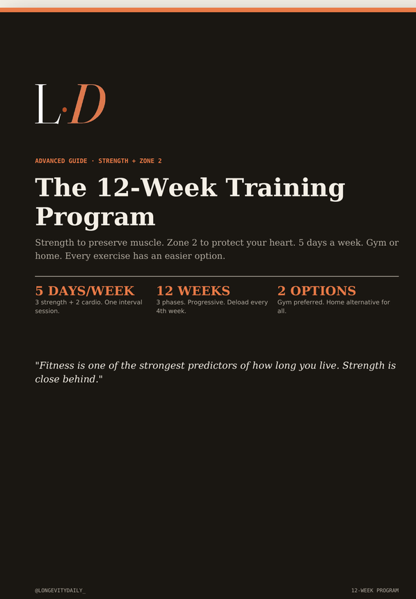 12-Week Training Program cover